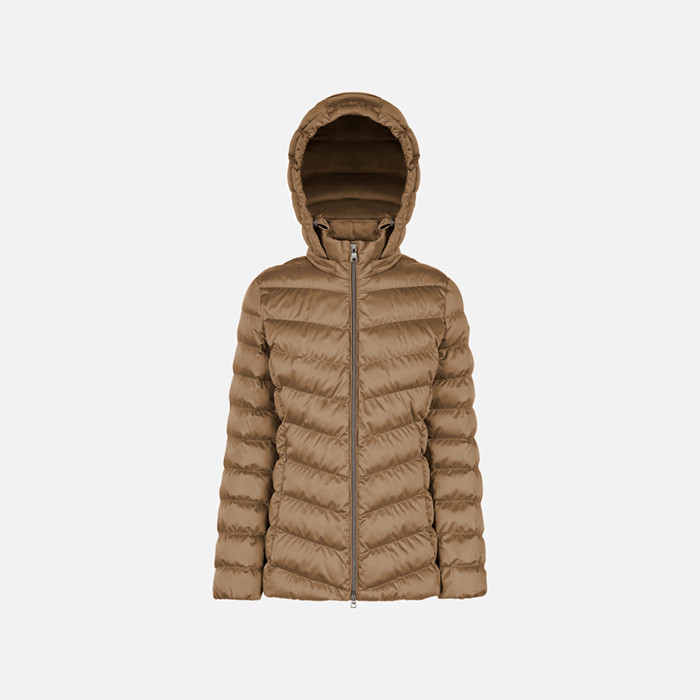 Quilted jacket ZOSMA WOMAN Hazelnut Brown | GEOX